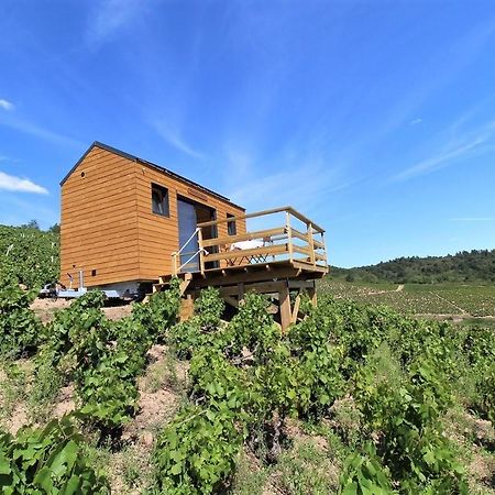 Tiny House Au Coeur Du Vignoble Beaujolais Fleurie Exterior foto