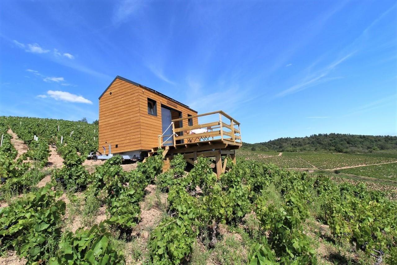 Tiny House Au Coeur Du Vignoble Beaujolais Fleurie Exterior foto