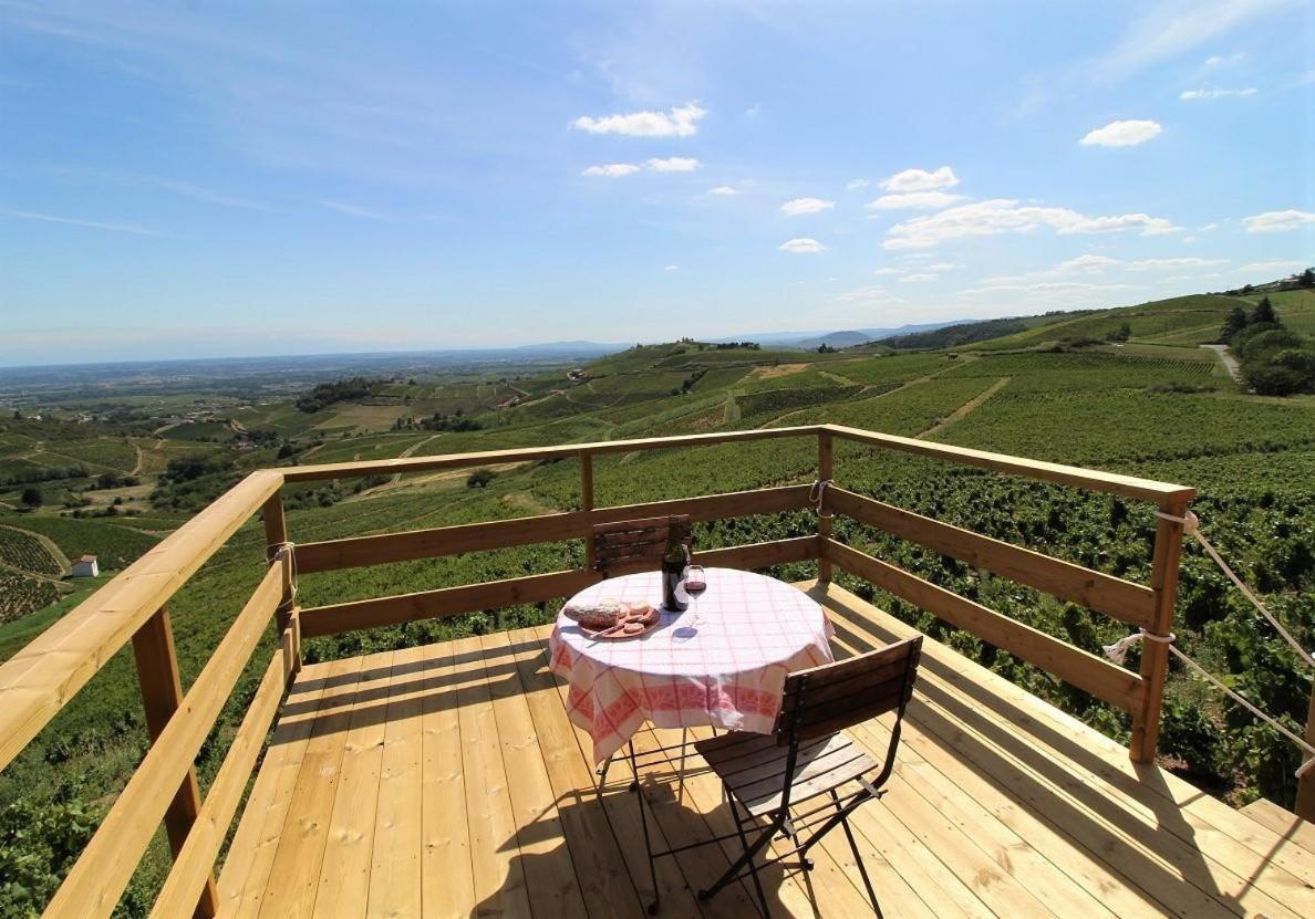 Tiny House Au Coeur Du Vignoble Beaujolais Fleurie Exterior foto